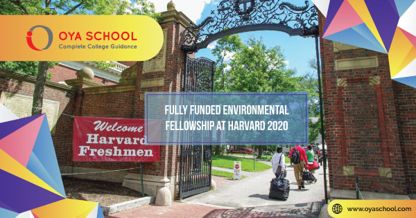 Fully Funded Environmental Fellowship at Harvard 2020