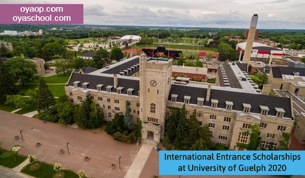 International Entrance Scholarships in Canada