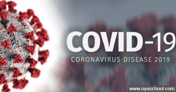 A glimpse on Impacts of COVID-19 on Education