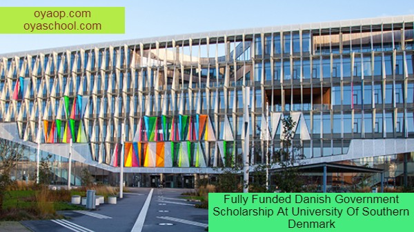 Fully Funded Danish Government Scholarship At University Of Southern Denmark