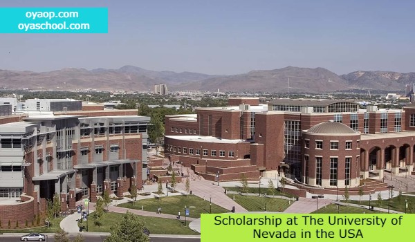 Scholarship At The University Of Nevada In The USA - OYA School