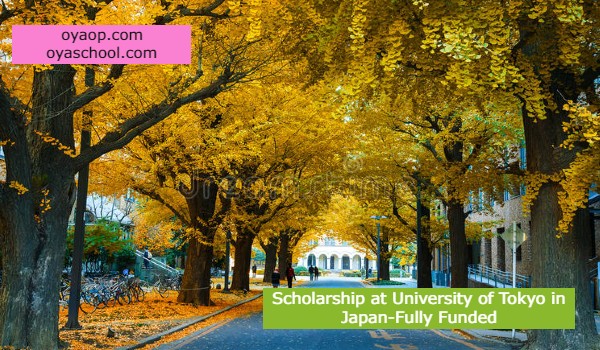 Fully Funded Scholarship In Japan 2021 - OYA School