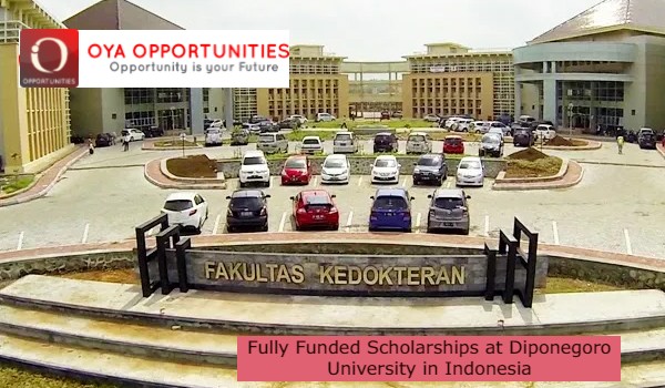 Fully Funded Scholarships In Indonesia - OYA School