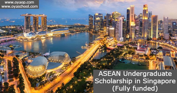 ASEAN Undergraduate Scholarship
