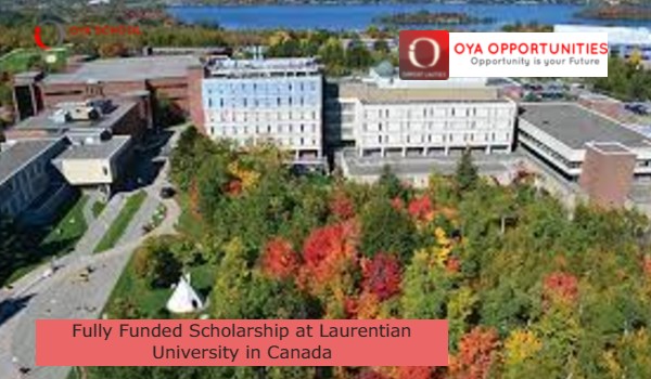 Fully Funded Scholarship In Canada - OYA School