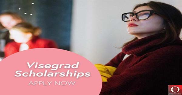 Study For Free With Visegrad Scholarship Program 2023